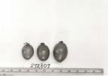 Click for 1 image(s) for this accession. FRUIT